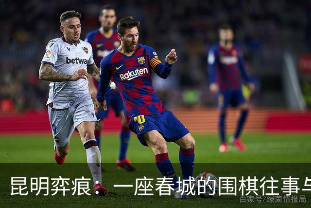 昆明弈痕：一座春城的围棋往事与求道新局