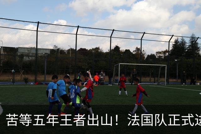 苦等五年王者出山！法国队正式进入齐达内时代！