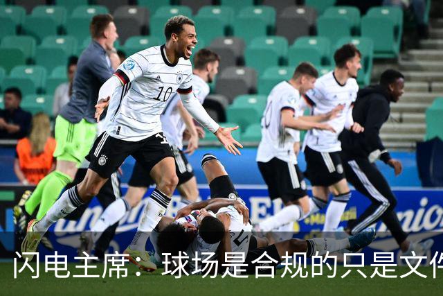 闪电主席：球场是合规的只是文件漏交了，处罚像闯红灯判无期